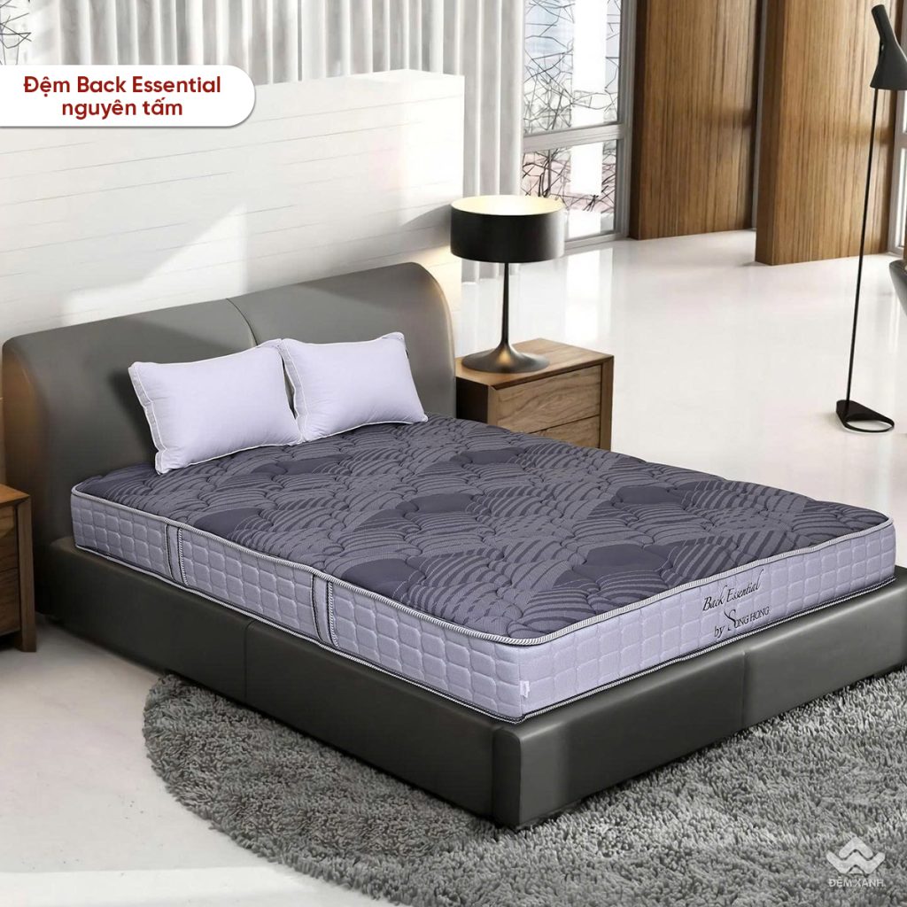 Đệm Sông Hồng Back Essential
