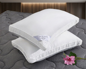 Ruột gối đơn Premium Comfy