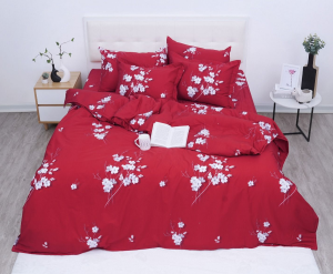 Chăn ga gối Sông Hồng Basic Cotton BC25112
