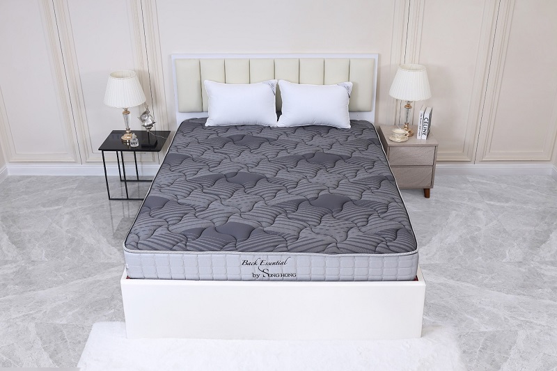 Đệm Sông Hồng cao cấp Back Essential