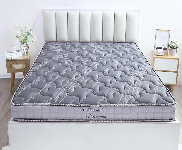 Đệm Sông Hồng Back Essential