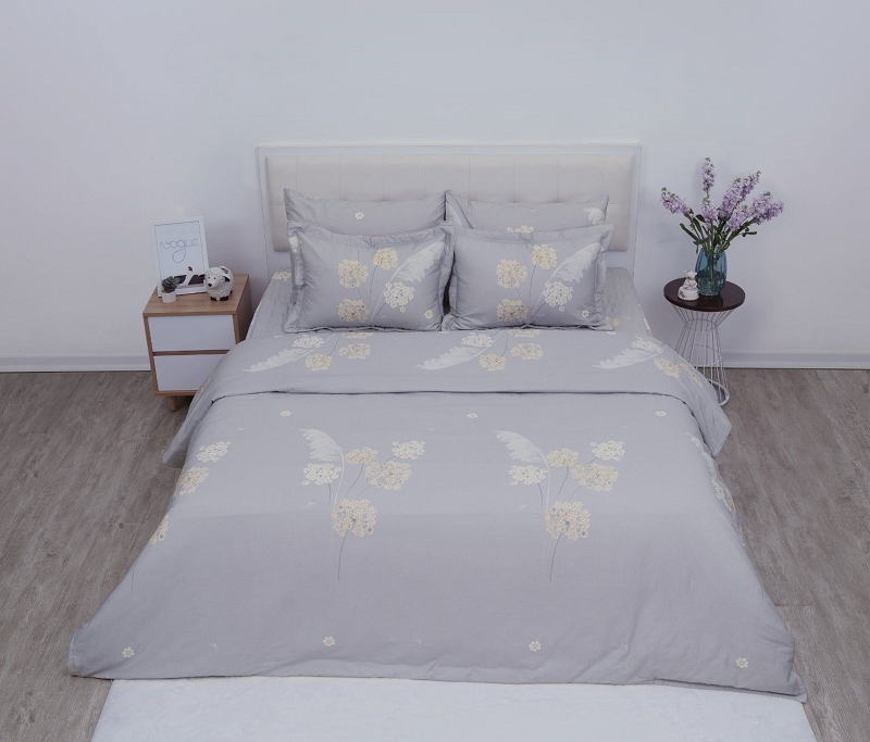 Chăn ga gối Sông Hồng Basic cotton BC25108