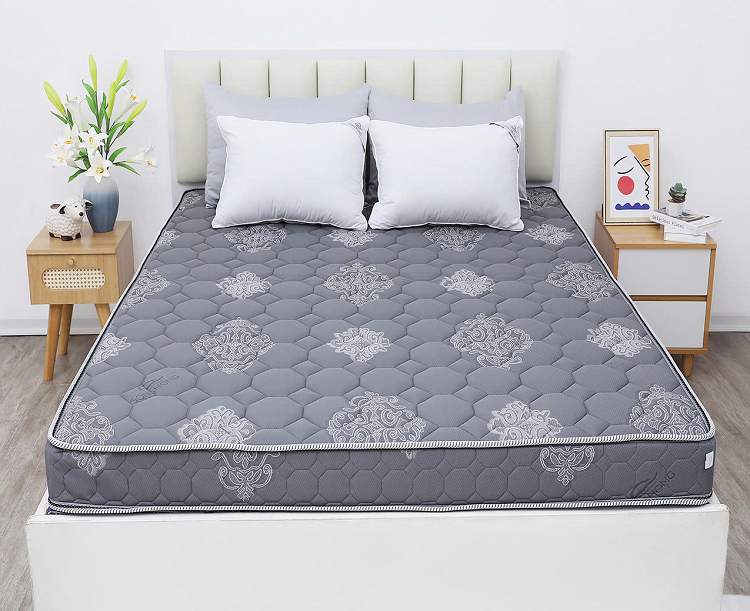 Đệm Sông Hồng thế hệ 3