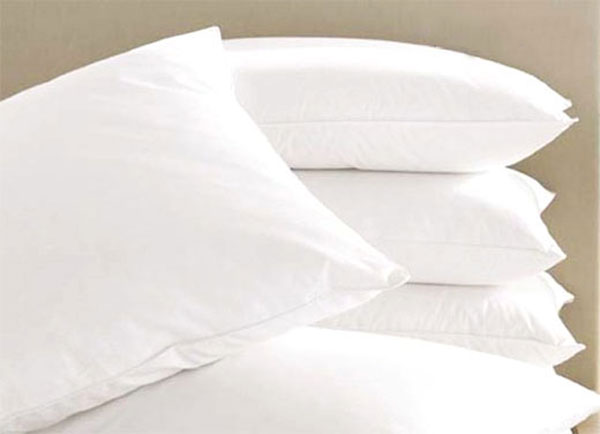 Ruột gối Sông Hồng