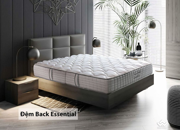 đệm bông ép sông hồng back essential