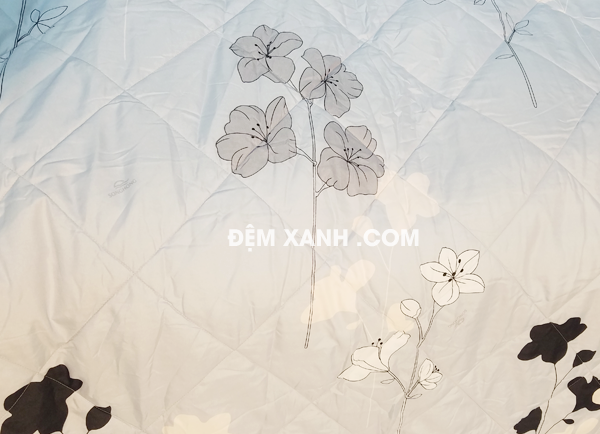 chăn ga gối đệm Sông Hồng