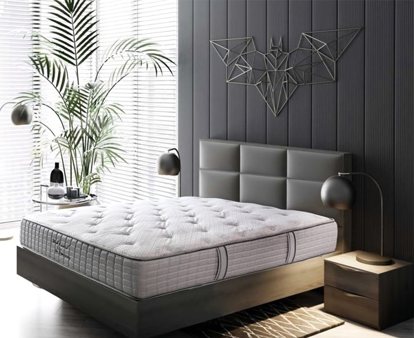 Đệm Sông Hồng Back Essential