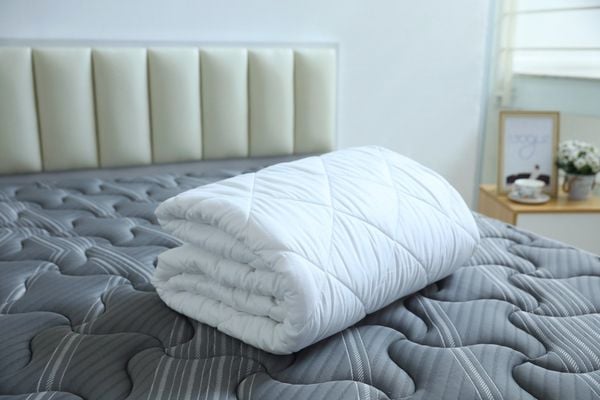 Ruột chăn đông Sông Hồng