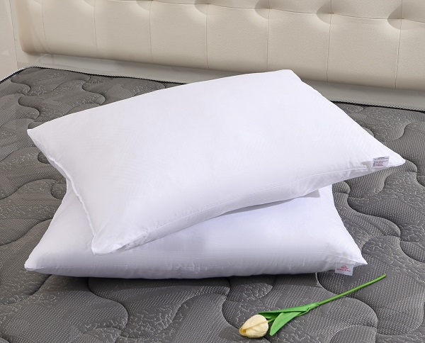 Ruột gối đơn Sông Hồng Basic