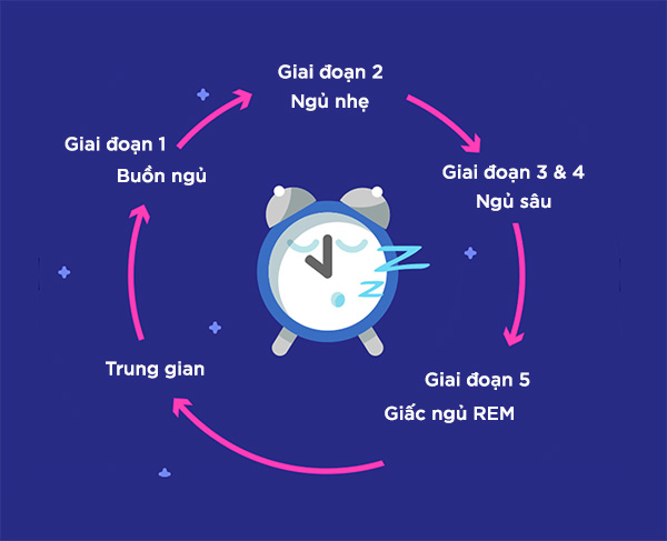 chu kỳ giấc ngủ