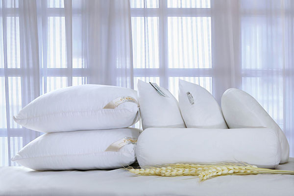 Chăn đông Sông Hồng