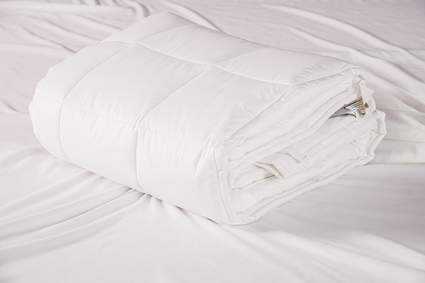 Chăn đông Sông Hồng