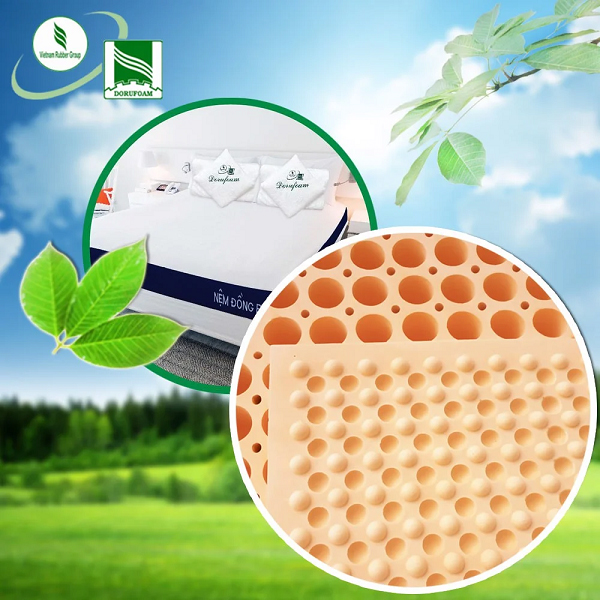 Đệm cao su Đồng Phú Massage