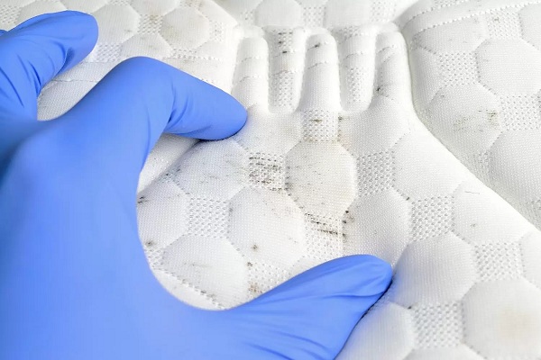 xử lý nấm mốc trên nệm