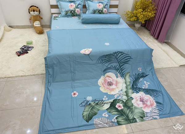 Chăn ga gối đệm Olympia