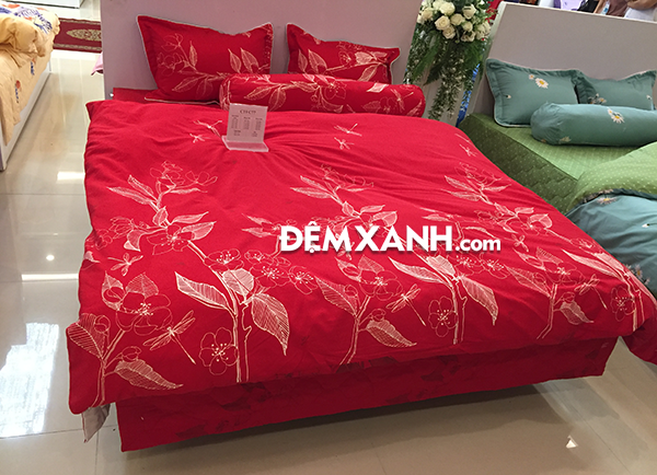 [Cập nhật] Bảng giá chăn đông Sông Hồng mới nhất 2020