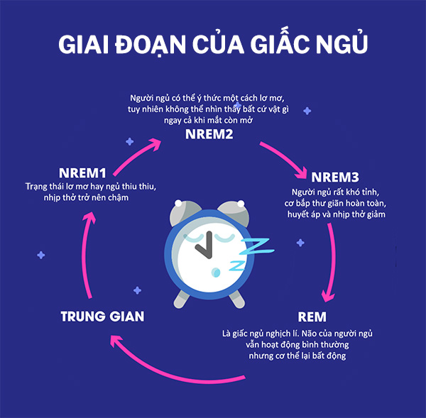 Các giai đoạn của giấc ngủ