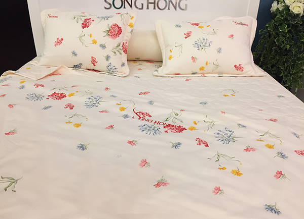 Giới thiệu thương hiệu Sông Hồng