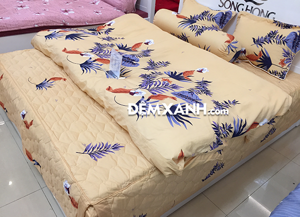 Hướng dẫn lựa chọn những bộ chăn ga gối cho ngày Tết