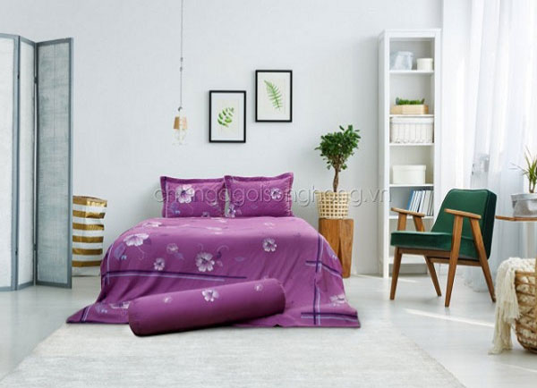 Source /media/news/2607_song-hong-classic-c18-t18.jpg Image description Chăn ga gối Sông Hồng Elegance Dimensions