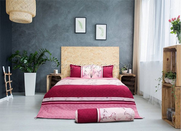 Source /media/news/2607_song-hong-classic-c18-t18.jpg Image description Chăn ga gối Sông Hồng Elegance Dimensions