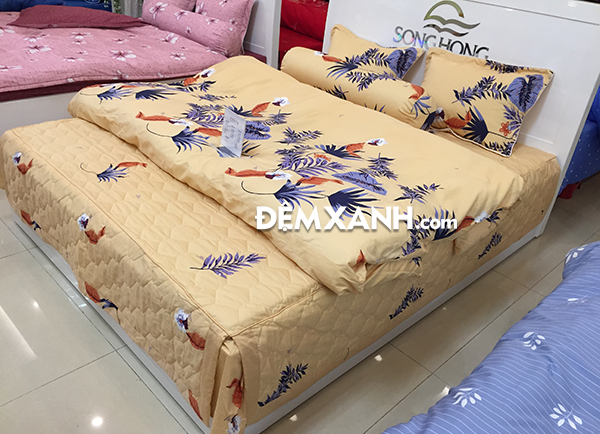 chăn ga gối Sông Hồng Cotton