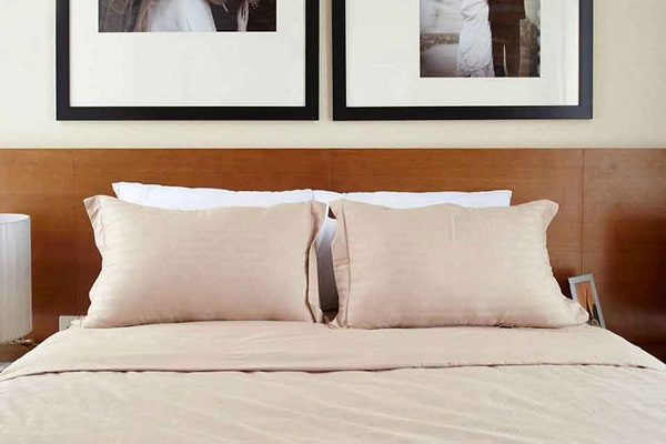 chăn ga gối đệm Sông Hồng