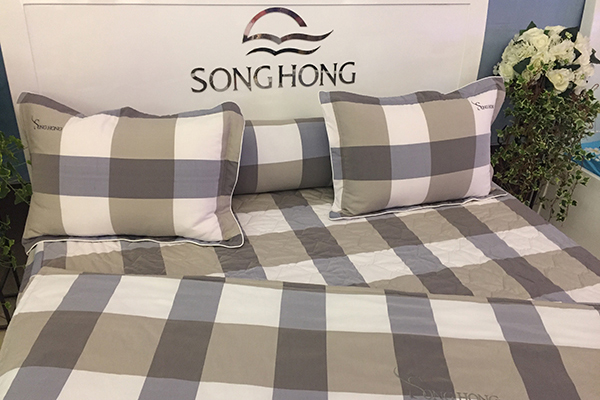 Sông Hồng mua bản quyền hình ảnh Disney