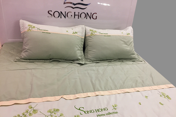 Sông Hồng mua bản quyền hình ảnh Disney