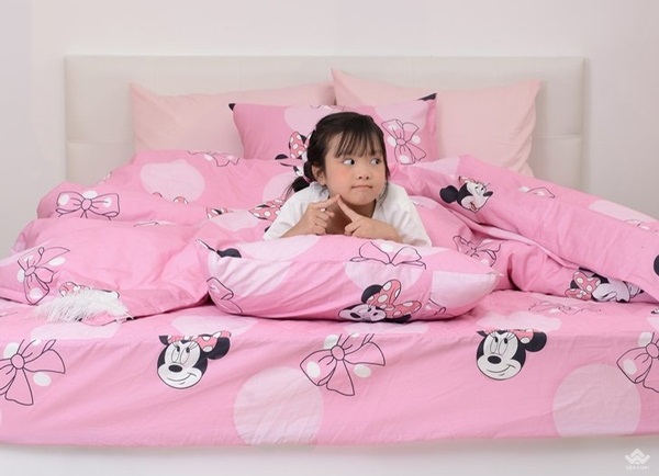 Bảng giá dòng chăn ga gối Sông Hồng Youth & Junior