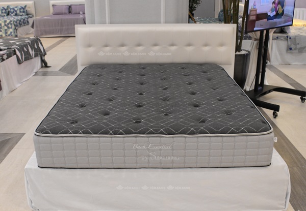 Đại lý bán đệm bông ép Sông Hồng tại Hải Phòng chính hãng, giá rẻ