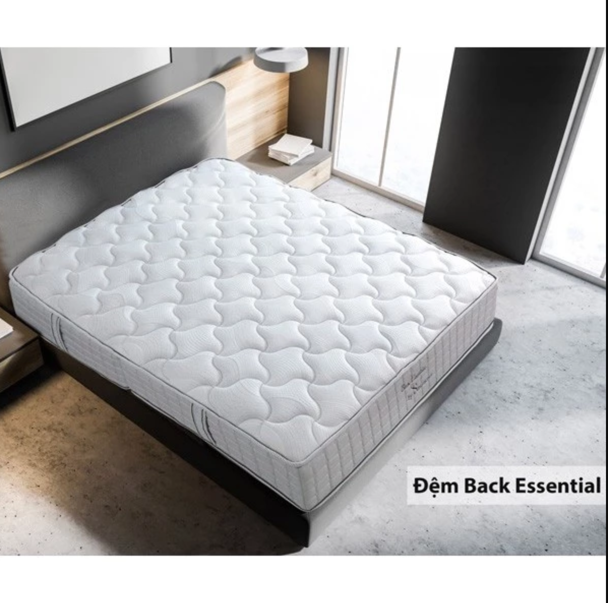 Đại lý chăn ga gối đệm Sông Hồng tại Hải Phòng