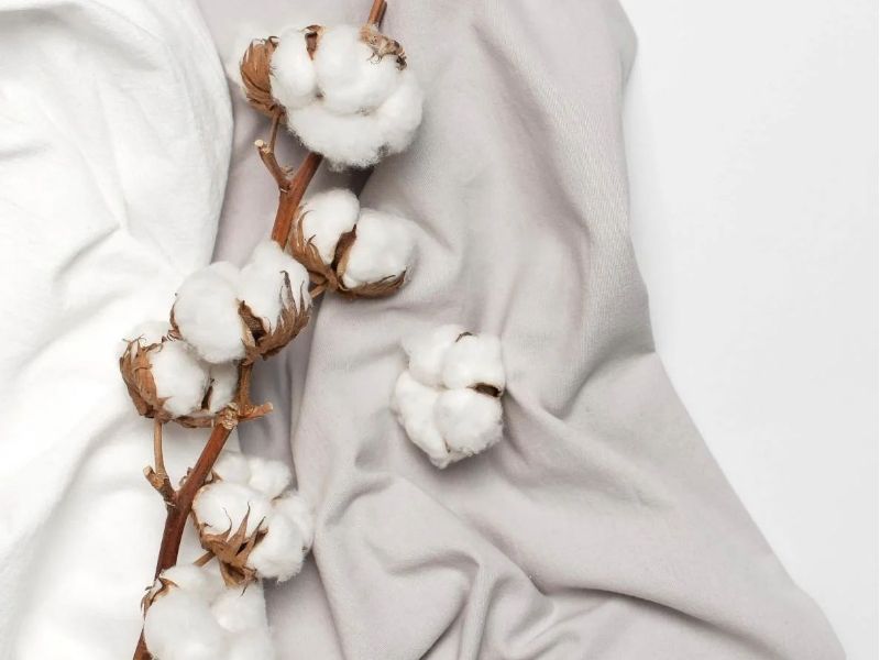 Mẹo phân biệt chăn ga gối cotton 100% thật giả chuẩn xác nhất!