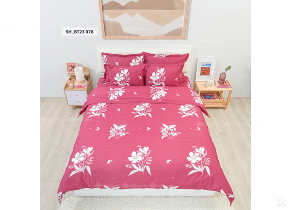 Chăn ga gối Sông Hồng Basic TC BT23078