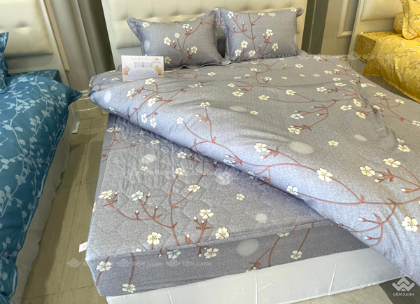 Ga gối Sông Hồng Basic cotton BC23075