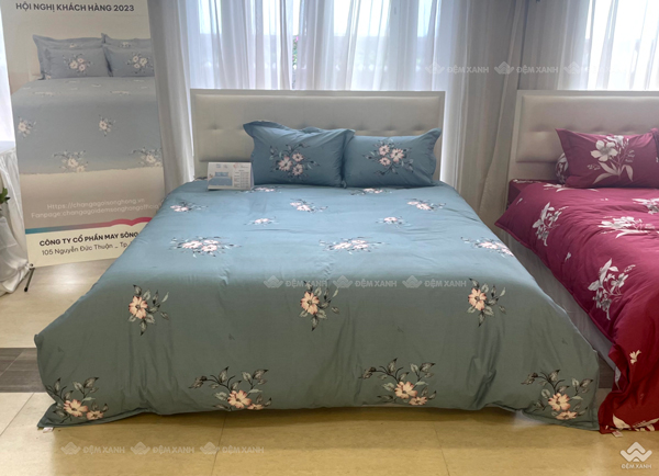 Chăn đông Sông Hồng Basic TC BT23077