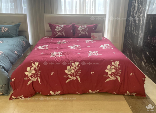 Chăn đông Sông Hồng Basic TC BT23078