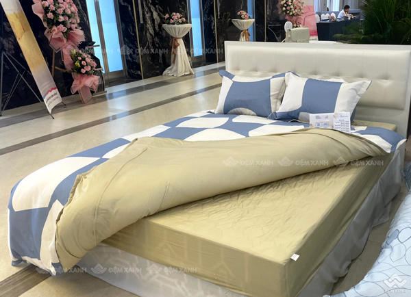 Vỏ chăn xuân thu Sông Hồng basic cotton BC23083