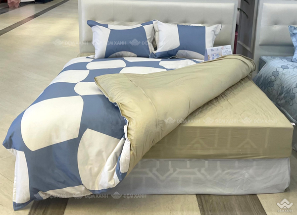 Ga gối Sông Hồng Basic cotton BC23083