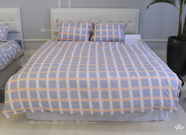 Vỏ chăn xuân thu Sông Hồng basic cotton BC23085