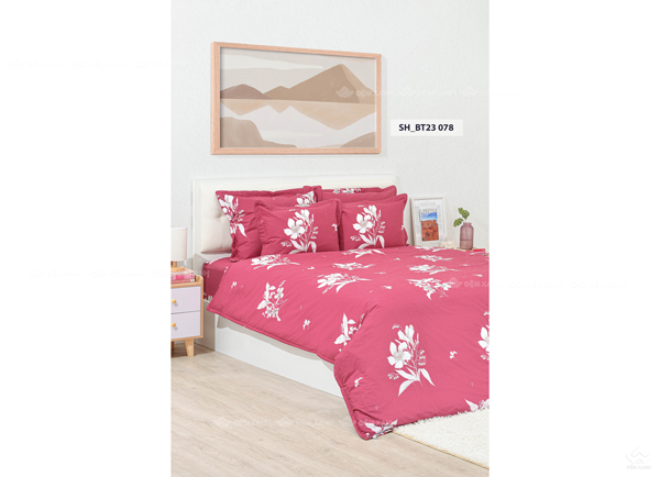 Vỏ chăn xuân thu Sông Hồng basic TC BT23078