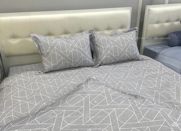 Vỏ gối Sông Hồng Basic cotton BC23072