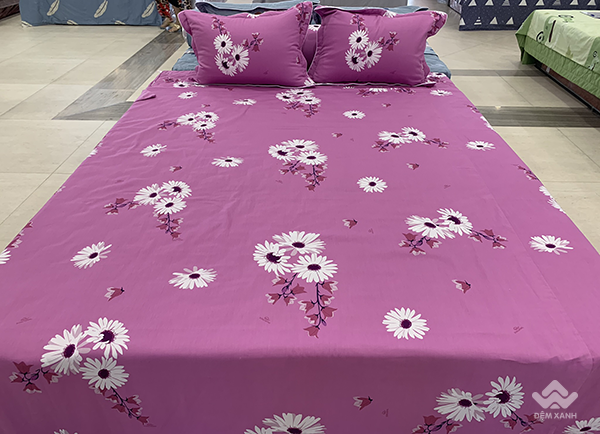 Ga gối Sông Hồng Basic cotton BC20014