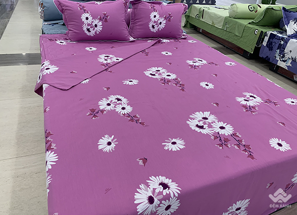 Ga gối Sông Hồng Basic cotton BC20014