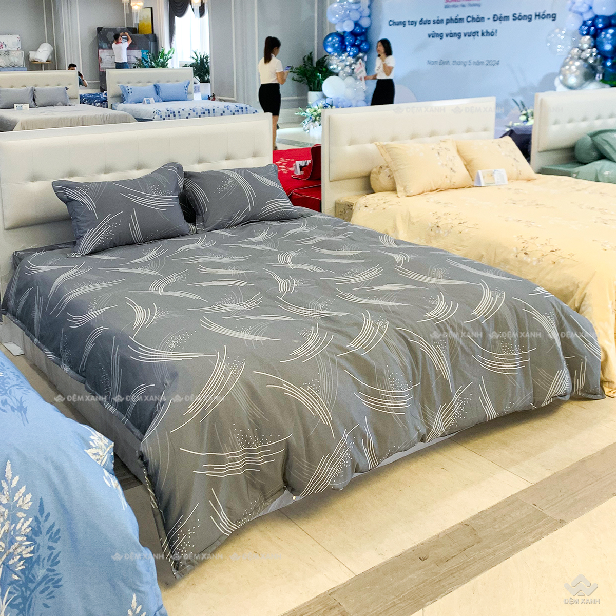 Bộ ga chun SH BC24101 (2)