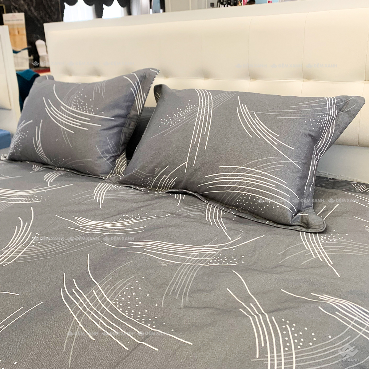 Bộ ga chun SH BC24101 (3)