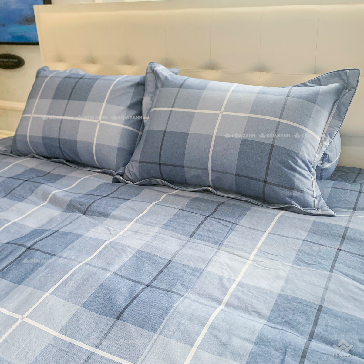 Bộ ga chun SH BC24103 (3)