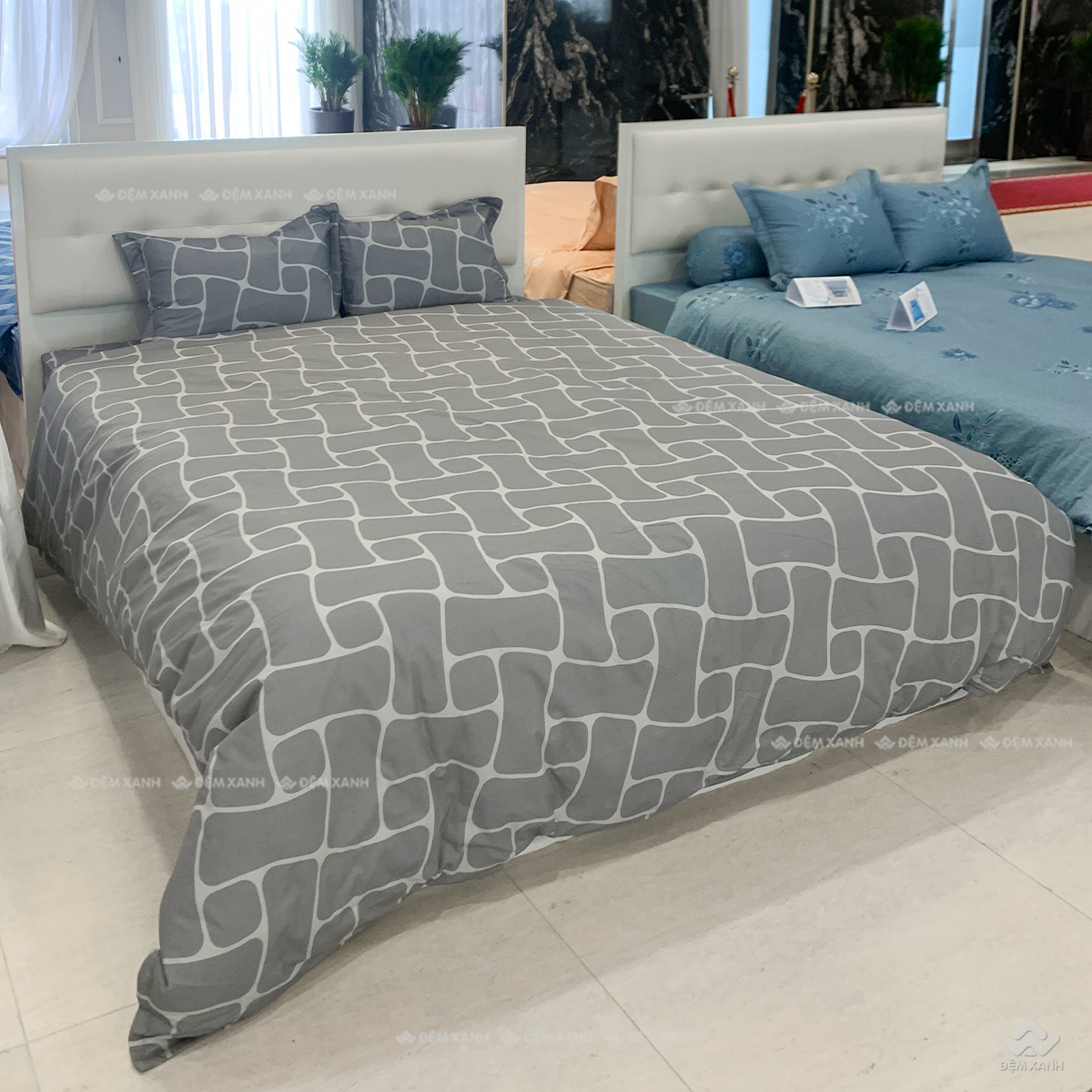 Bộ ga chun SH BC24106 (2)