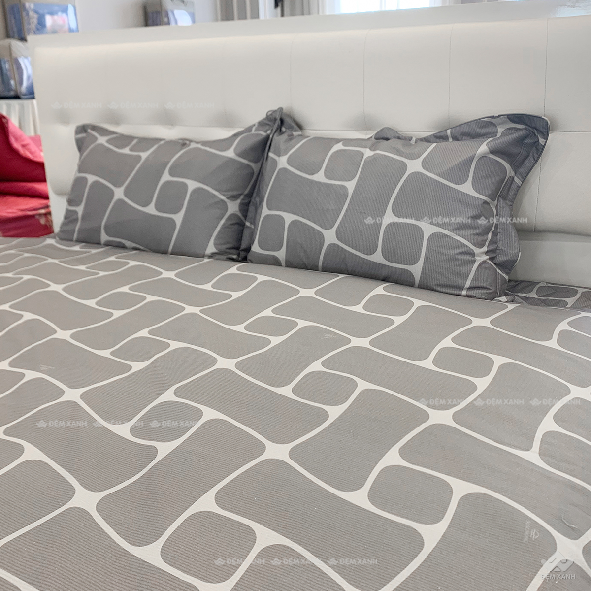 Bộ ga chun SH BC24106 (3)