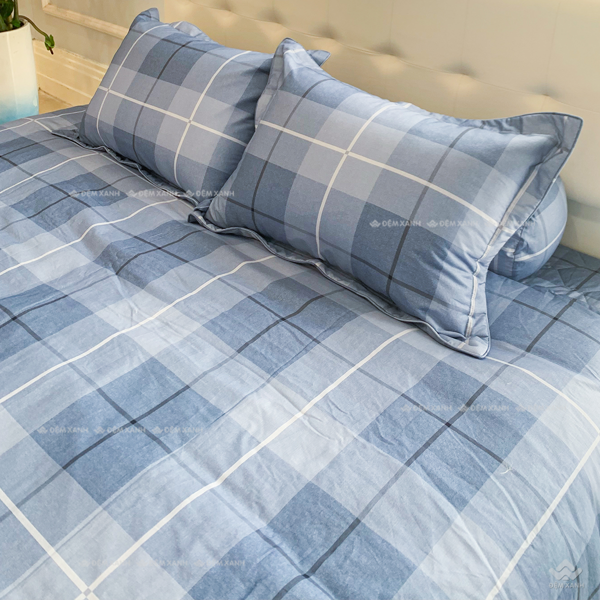 Vỏ chăn xuân thu Sông Hồng basic cotton BC24103